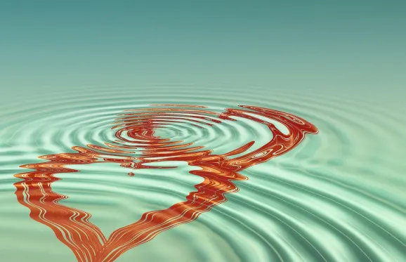 Rajbet Kasino Sokongan